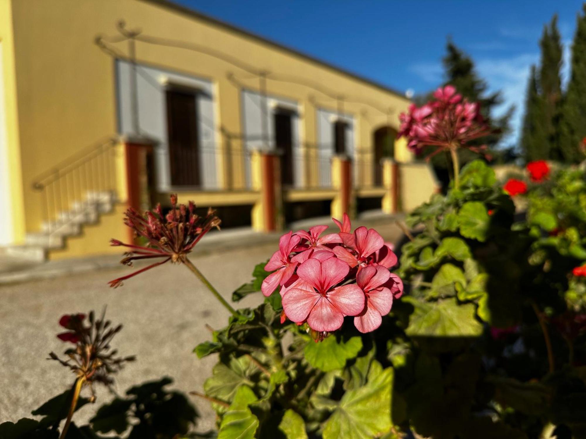 Agriturismo Il Trappeto Gallipoli Exterior foto