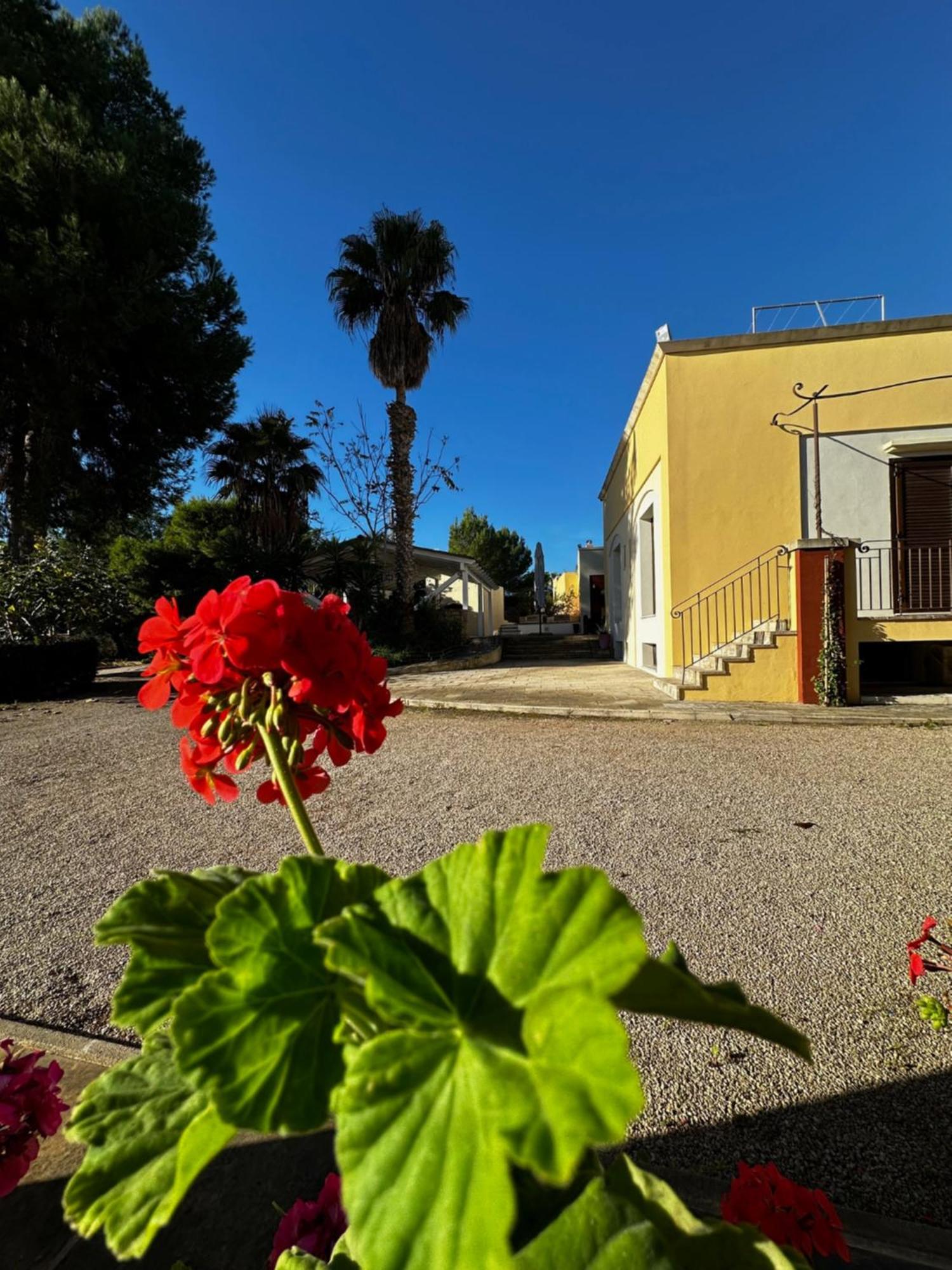Agriturismo Il Trappeto Gallipoli Exterior foto